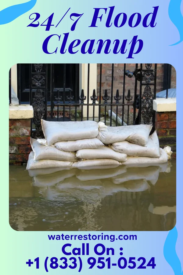 24/7 Flood Cleanup in Bluffton, MN