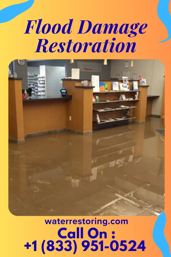 Flood Damage Restoration in Bluffton, MN