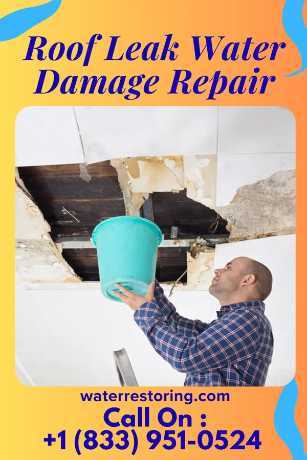 Roof Leak Water Damage Repair in Bluffton, MN