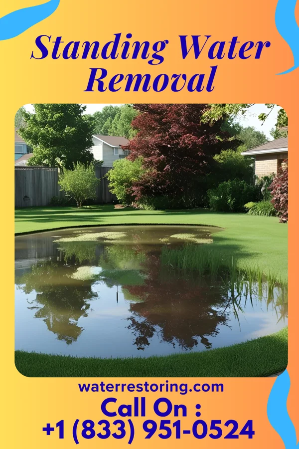 Standing Water Removal in Bluffton, MN